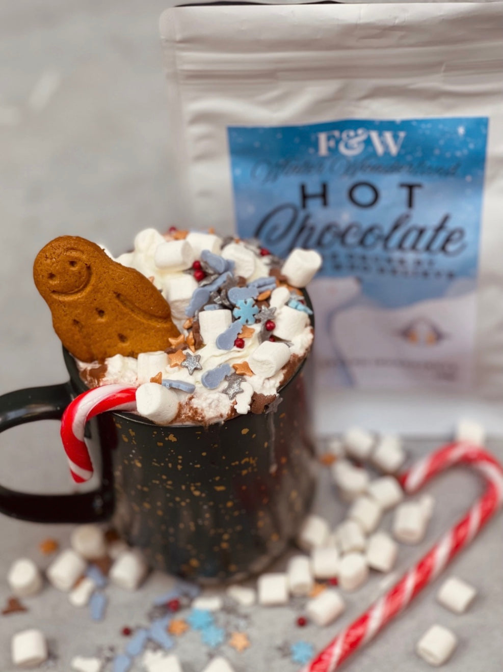 Winter Wonderland Soup Hot Chocolate Kit