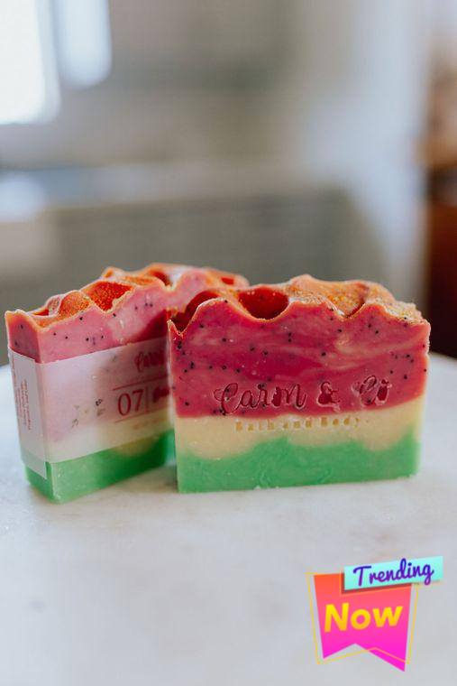 Juicy Watermelon Soap ~ Slice